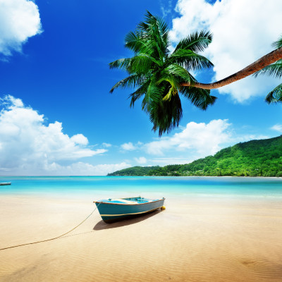 Kenya Safari and Seychelles Island Paradise