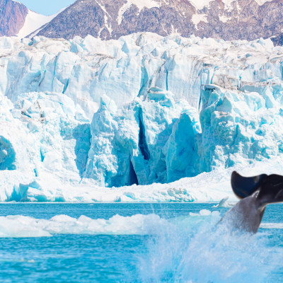 Gems of West Greenland: Fjords, Icebergs and Culture