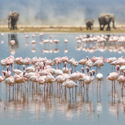 Kenya: Southern Circuit and Beach