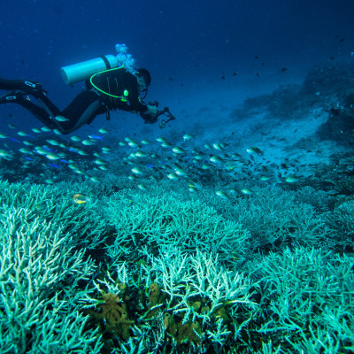 Nord-Sulawesi: Vulkane, Regenwald & Strand