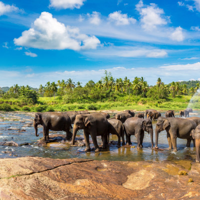 Sri Lanka