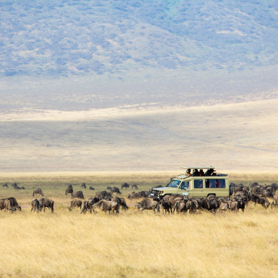 Kenya and Tanzania: Safari and Beach
