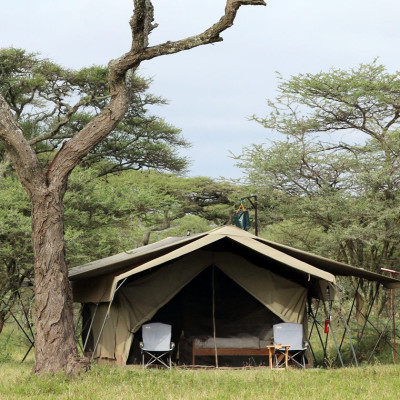 Exterior view of guest tent at Serengeti North Wilderness Camp in Northern Serengeti, Tanzania