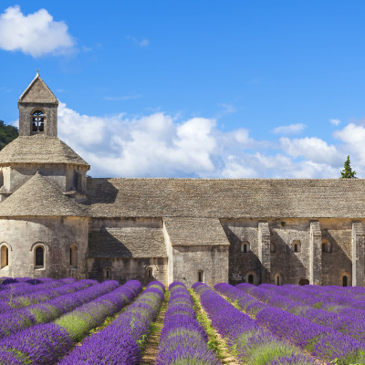 Lavender Field, France