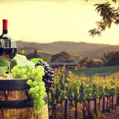 Red wine with barrel on vineyard in green Tuscany, Italy