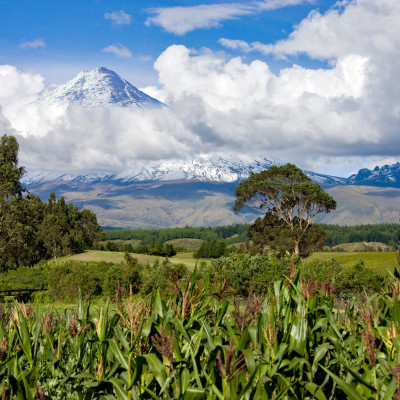 Ecuador: Galapagos und die Allee der Vulkane