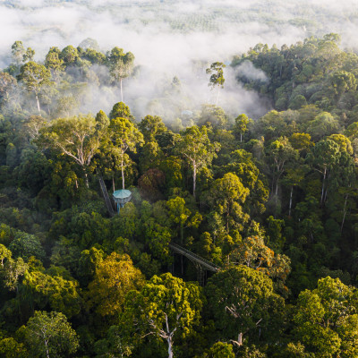 Malaysia abseits ausgetretener Pfade: die Höhepunkte von Sabah
