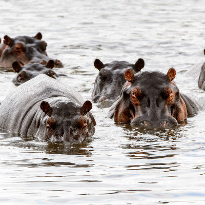 Botswana