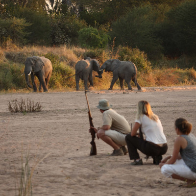 Tansania: Safaris im wilden Süden mit Inselauszeit