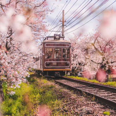 Highlights of Japan by JR Rail