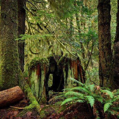 Kanada Roadtrip: wilder, weiter Westen