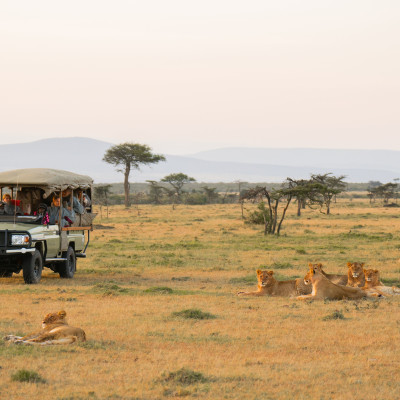 Kenia und Seychellen: exklusive Safari-Erlebnisse und Insel-Auszeit