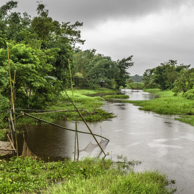 Nebenfluss des Brahmaputra gesäumt von üppiger Vegetation und Fischernetzen unweit von Jorhat in Assam, Indien