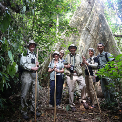 Wildnis Thailand: Rundreise durch den Süden