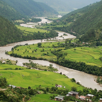 Reisfelder in Punakha, Bhutan