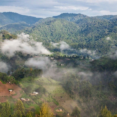 Uganda Safarireise: Primaten und wilde Landschaften