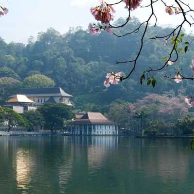 Das spirituelle Städtchen Kandy