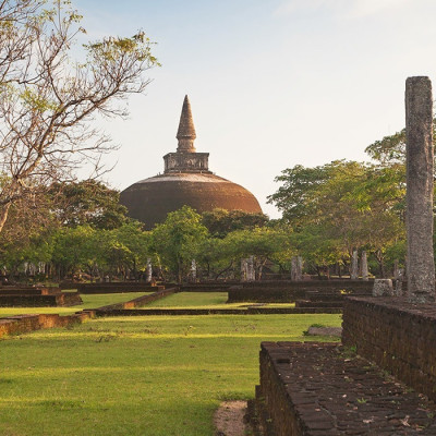 Tempel und Tee: Sri Lankas schönste Seiten