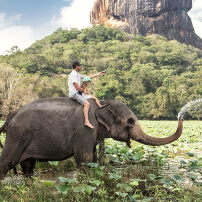 Rare white elephant discovered roaming wild in Burmese jungle