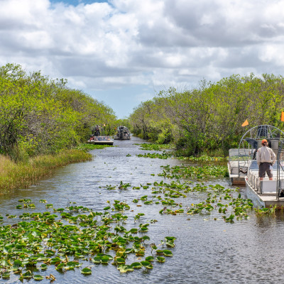 Schmelztiegel New York und Floridas tropischer Südosten