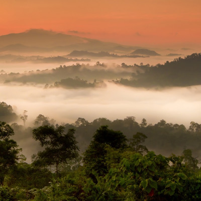 Asia Danum Valley, Sabah, Borneo, Malaysia Enchanting Travels