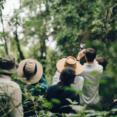 Kenia und Uganda: Safaris und Gorilla-Trekking