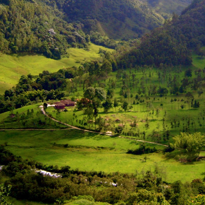 Coffee Region Colombia Enchanting Travels South America Vacation Colombia Tours