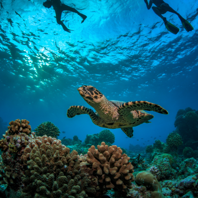 Seychelles: Mahe and Private Island Relaxation