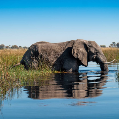 Botswana Highlights and Western Zimbabwe