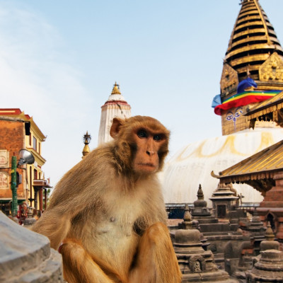 Höhepunkte von Nepal und Bhutan