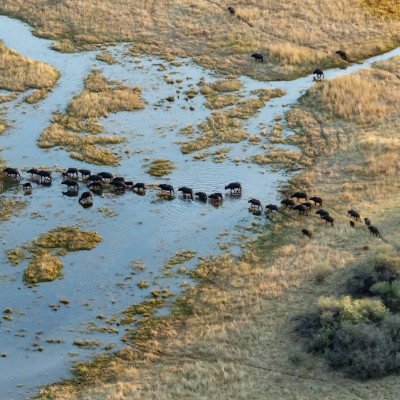 Aerial view of Okavango Delta in Botswana, Africafrica