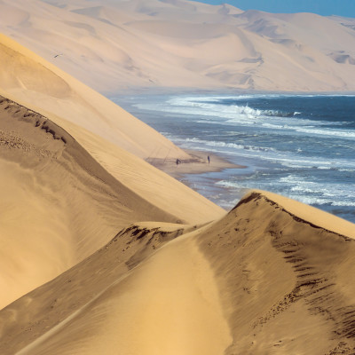 UK sand dune guide: best dunes to visit and wildlife to identify 