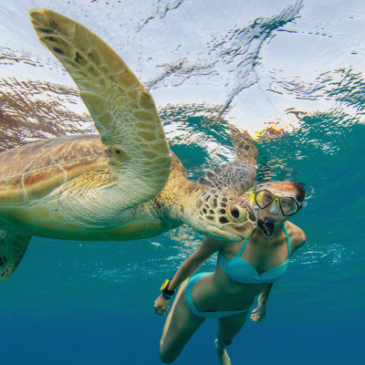 Snorkeling woman with hawksbill turtle, underwater photography
