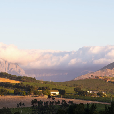 Landscape in Stellenbosch, Western Cape, South Africa, at sunset