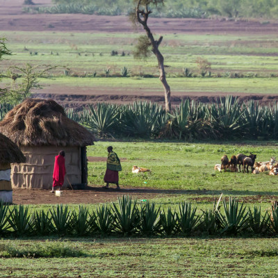 African hut in Tanzania