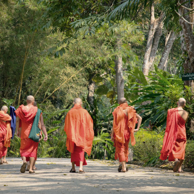 Buddhist Monks, Cambodia, Asia