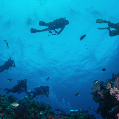 Diving in deep blue sea, Indonesia, Asia