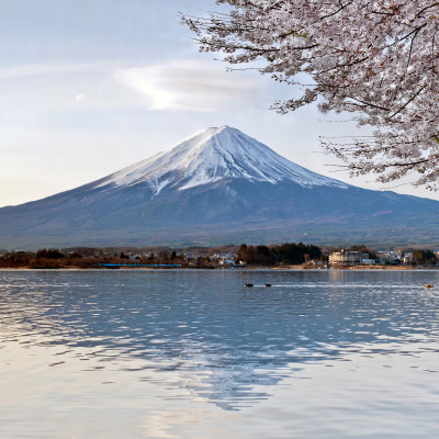 Cherry Blossom with Mt Fuji while on a Japan Private Tours