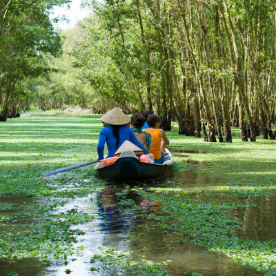 Tourism rowing boat in Tra Su flooded indigo plant forest in An Giang, Mekong delta, Vietnam, Asia