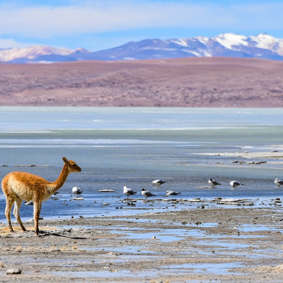 Bolivia travel