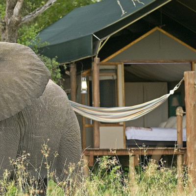 SANCTUARY STANLEY'S CAMP - Prices & Campground Reviews (Botswana/Okavango  Delta)