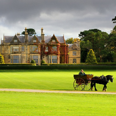 Road Trip: Highlights of Ireland