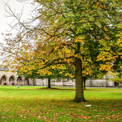 Peaceful and lonely background of autumn park in Aberdeen, Scotland, United Kingdom