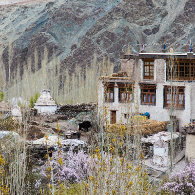 Exploring the Enchanting Beauty of Nubra Valley: A Gateway to