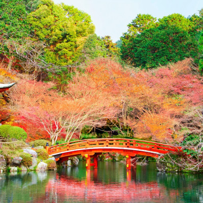 Japan Travel Guide
