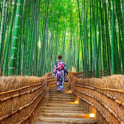 Luxury Japan: Traditions, Onsens and Mount Fuji