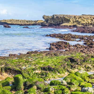 Enchanting Travels Morocco Tours Beach in Oualidia, Atlantic coast of Morocco