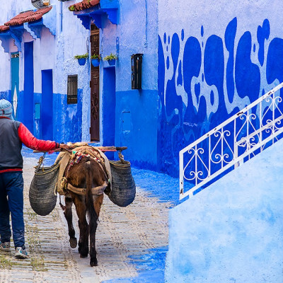 Things to do in Morocco Enchanting Travels Morocco Tours Street life in the blue city of Chefchaouen.