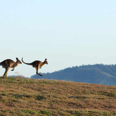 Is Oceania Safe To Visit? Travel Advice From Experts