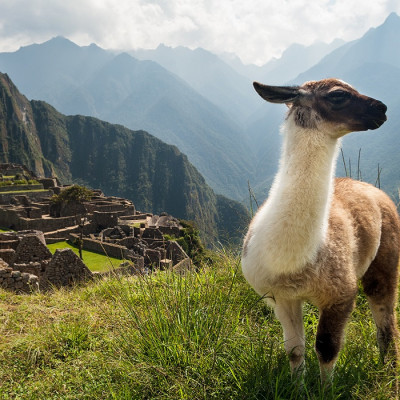 Machu Picchu trip